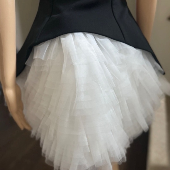 Zara Tulle Dress S - Picture 15 of 16